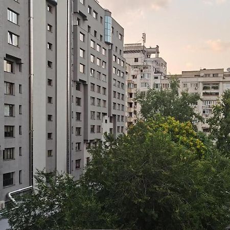 Peaceful Loft Apartment Букурещ Екстериор снимка