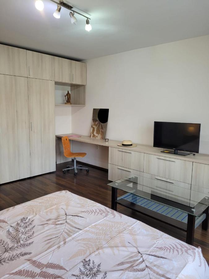 Peaceful Loft Apartment Букурещ Екстериор снимка